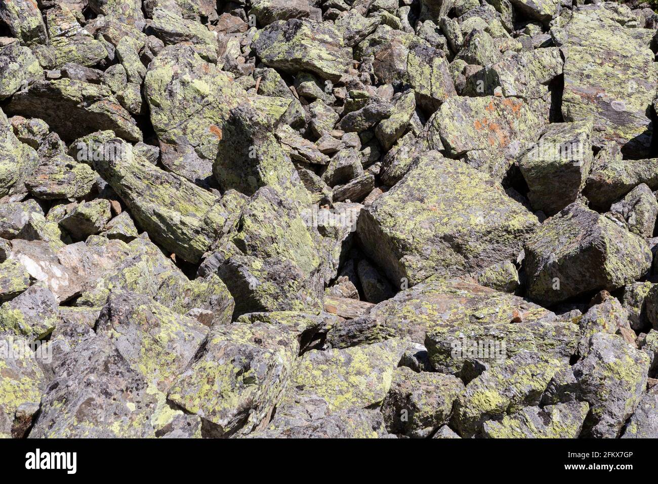 Quartz Rock With Lichens On Patscherkofel, Innsbruck, Tyrol, Austria Stock Photo