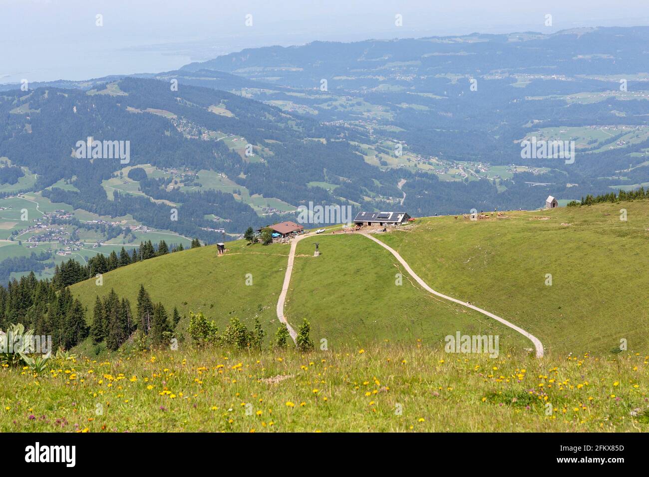 View From The Niedere Into The Bregenzerwald, Vorarlberg, Austria Stock Photo