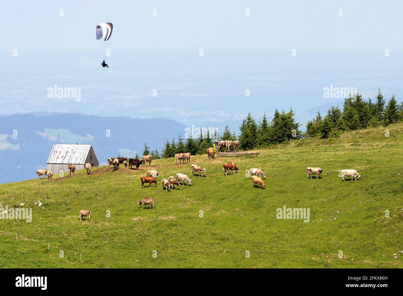 stellenangebote vorarlberg