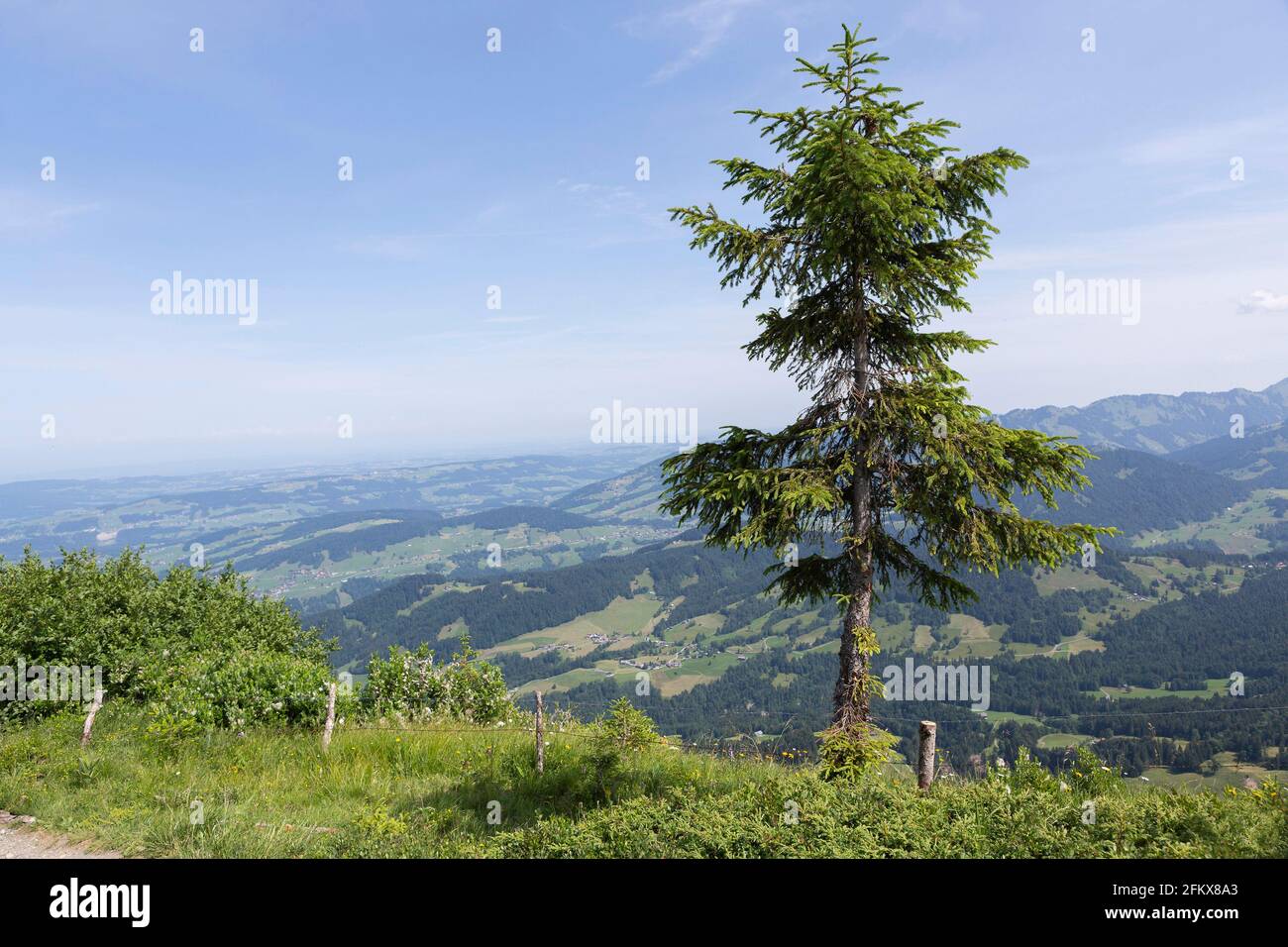 Bick Von Der Niedere In The Bregenzerwald, Vorarlberg, Austria Stock Photo