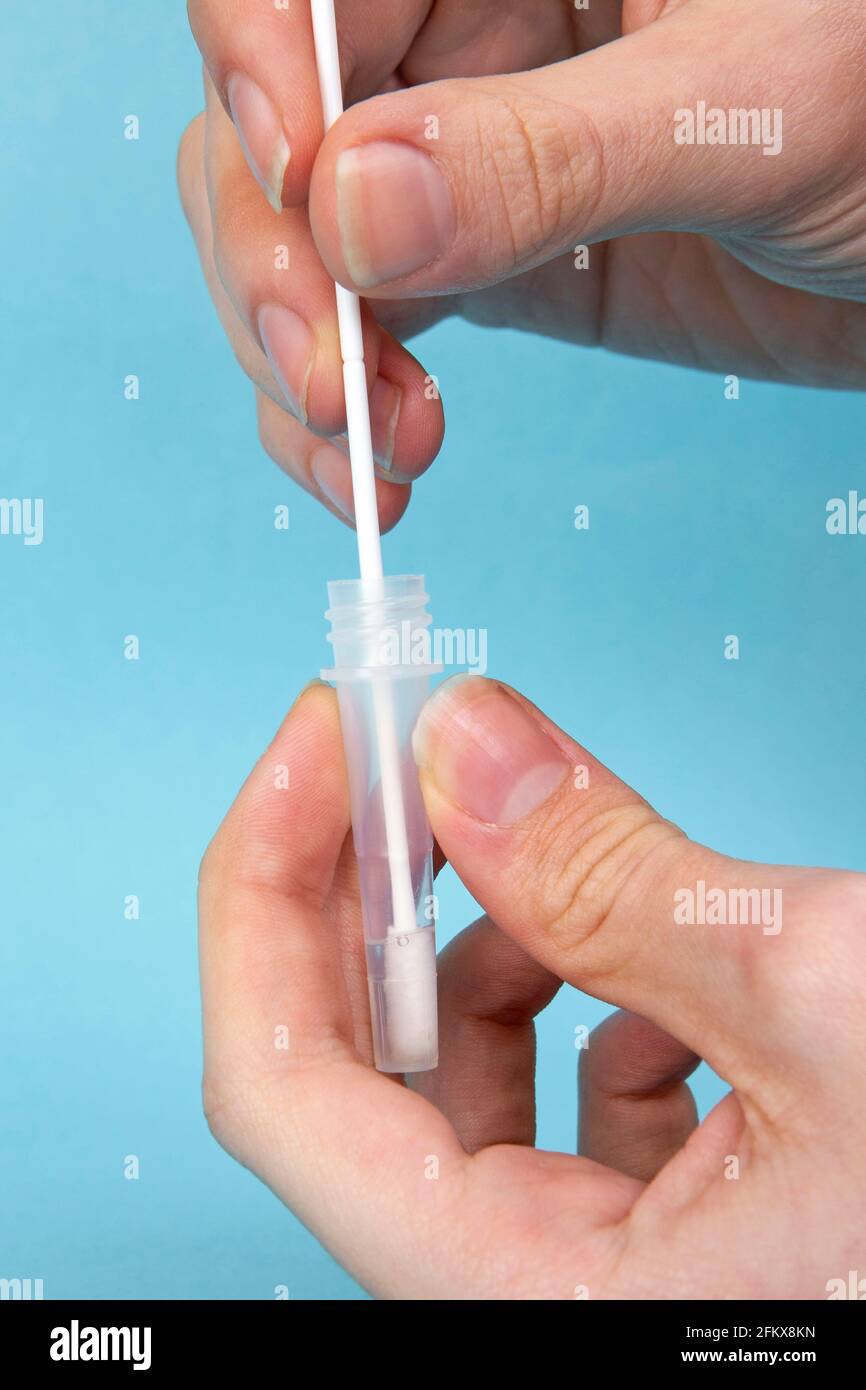 Disposable Swabs In Buffer Solution, Covid 19 Antigen Rapid Test, Self