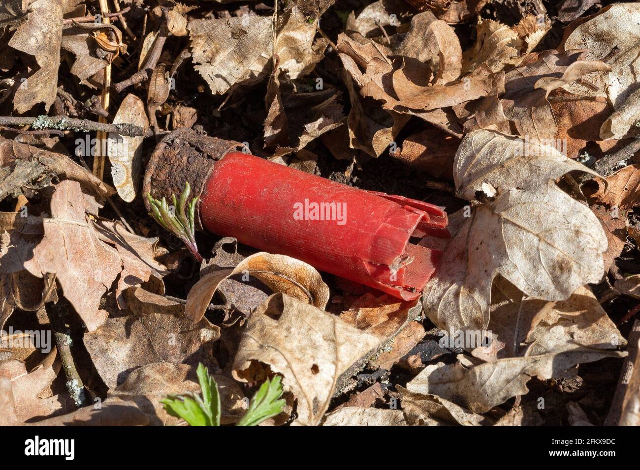 Empty Cartridge Case Stock Photo