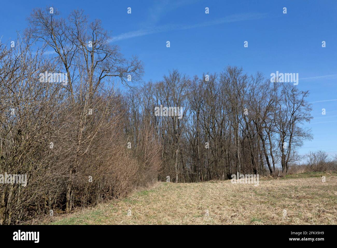 Alluvial floor hi-res stock photography and images - Alamy