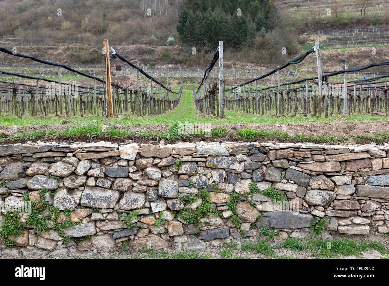 Dry Stone Wall In Der Wachau Lower Austria Stock Photo