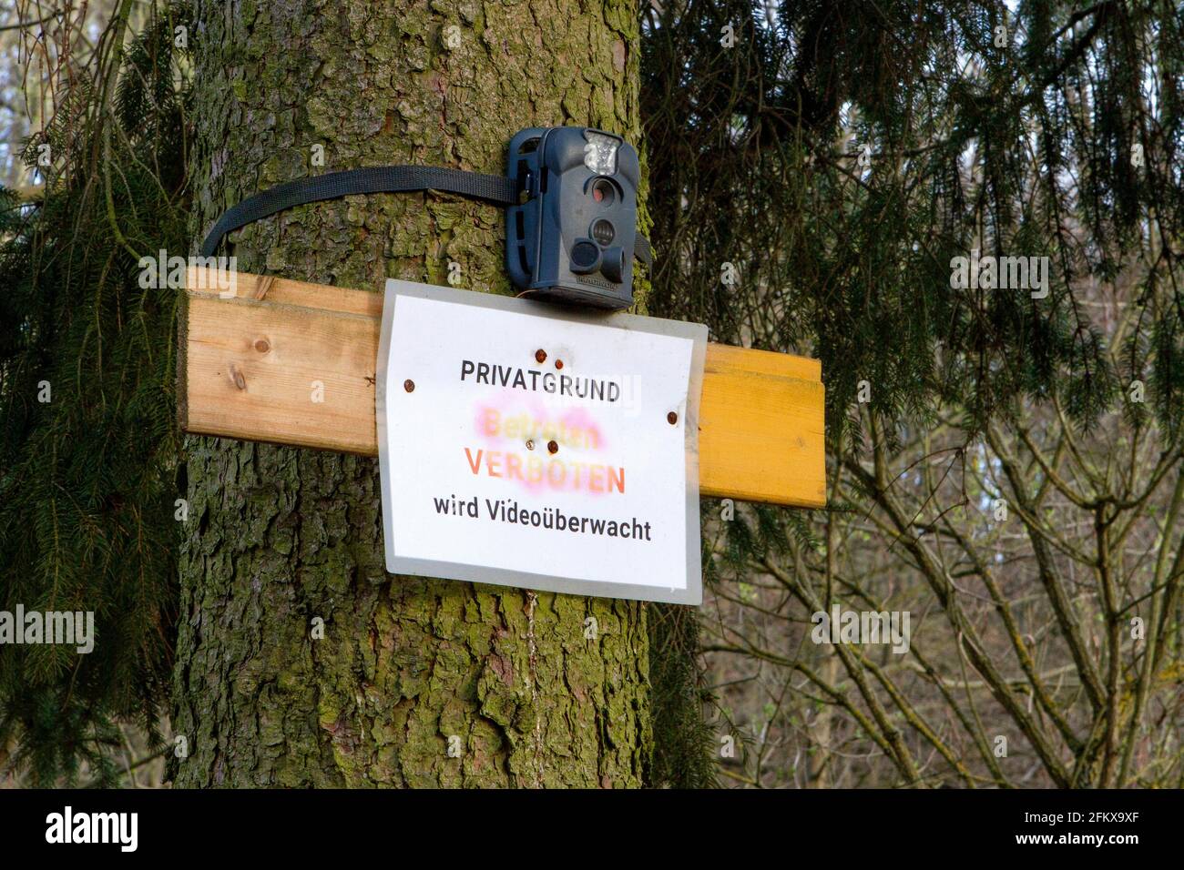 Wildlife Camera, Surveillance Camera Stock Photo Alamy