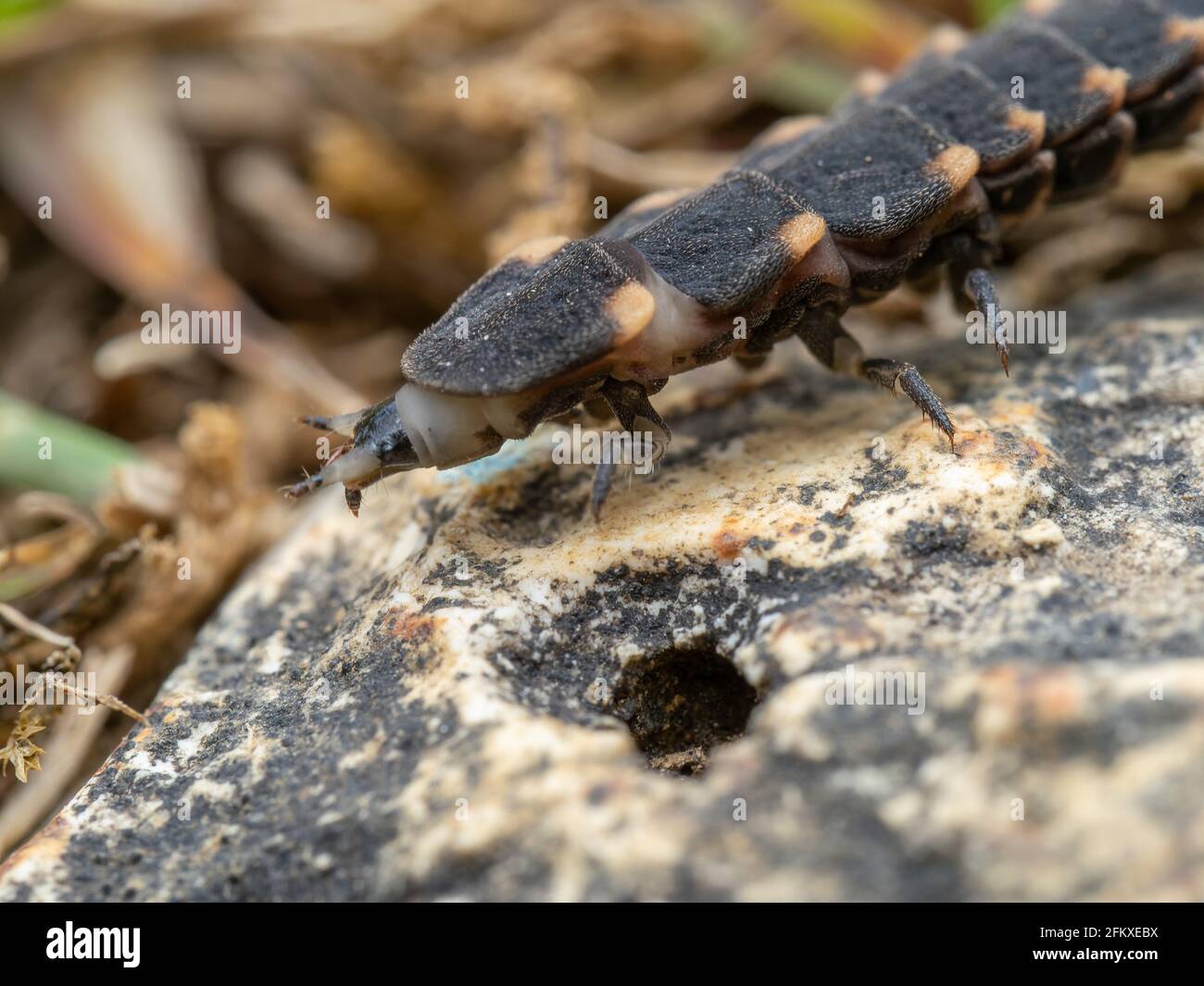 London england glow close up hi-res stock photography and images - Alamy