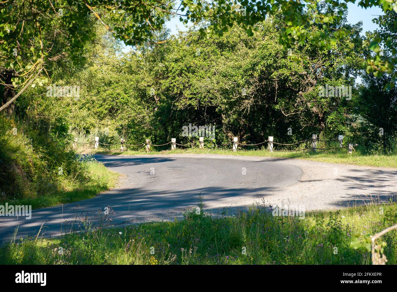 serpentine road winding uphill. tall trees along the pass in bright afternoon light in summertime Stock Photo