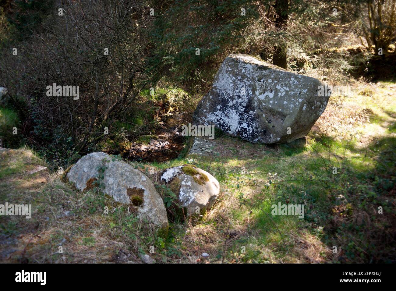 Mount Leinster, County Carlow, Ireland, Europe Stock Photo