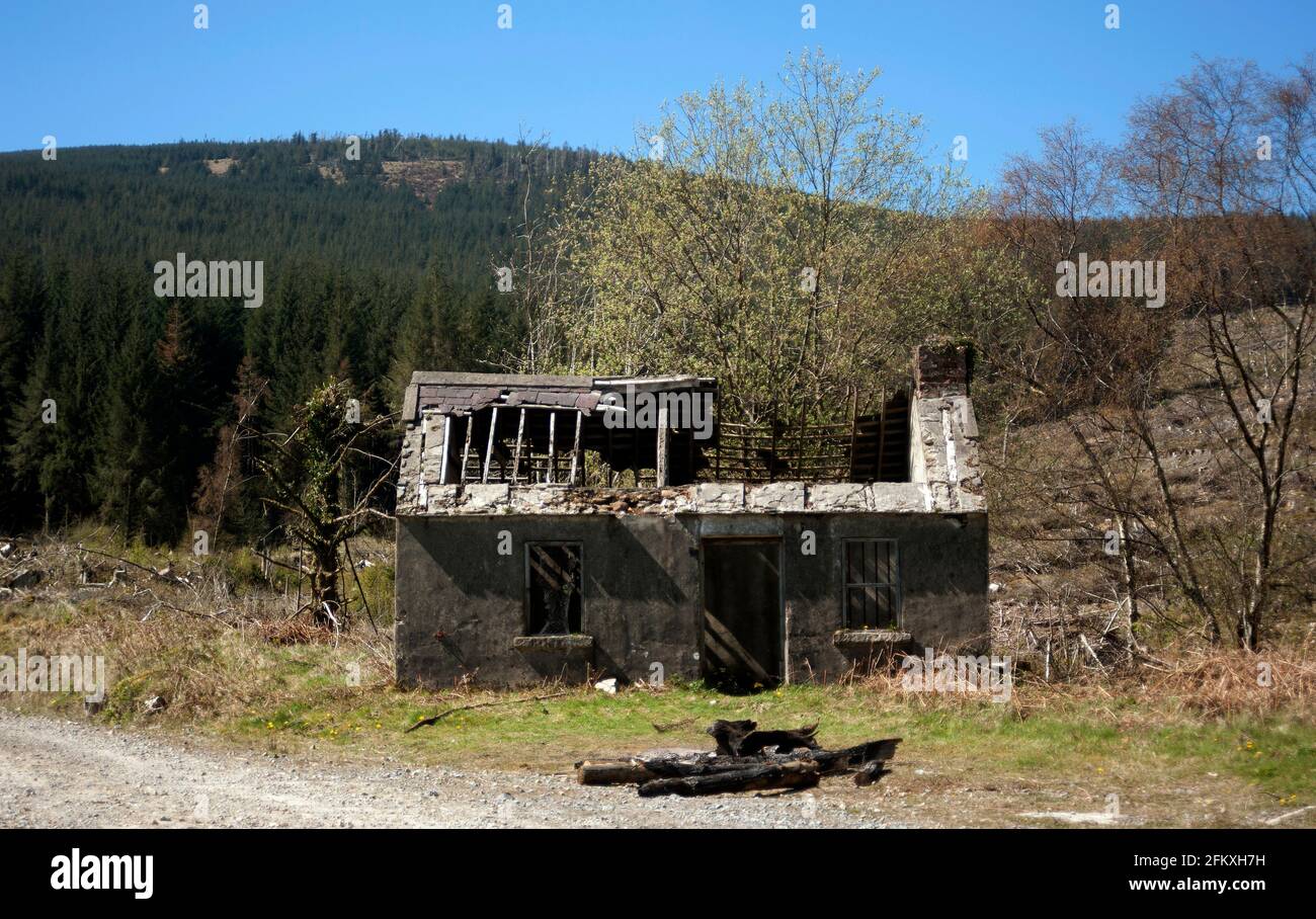 Old dilapidated logging cabin on Mount Leinster, County Carlow, Ireland, Europe Stock Photo
