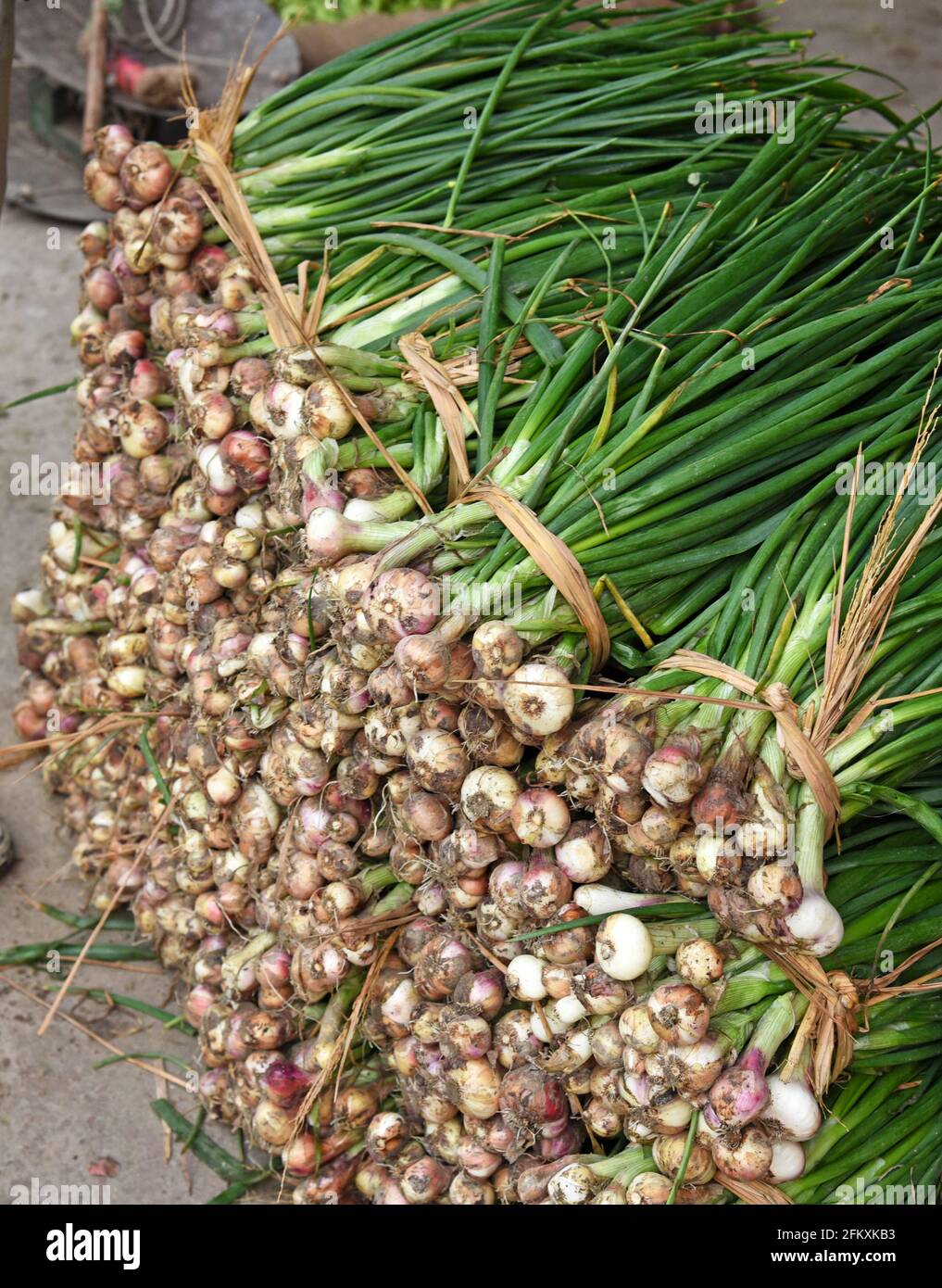 Group of onion with green leaves Stock Photo - Alamy
