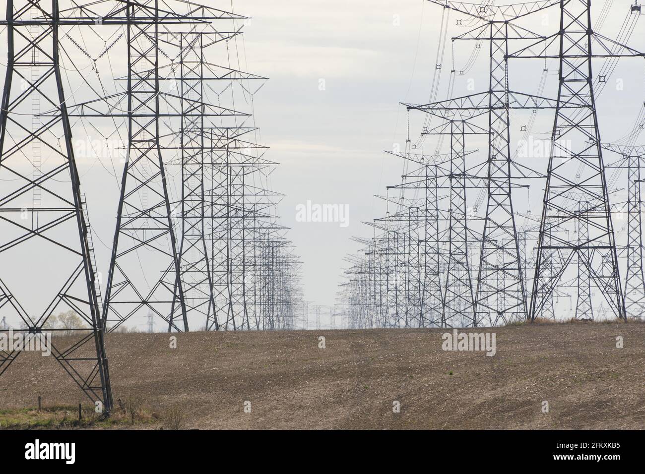 These parrallel power lines run east of Toronto. Stock Photo
