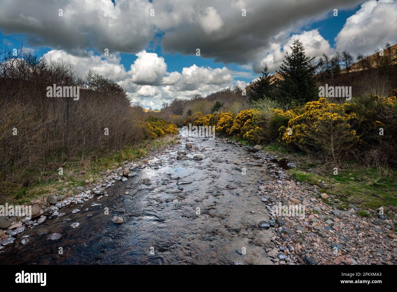 Northumberland, April 28th 2021: A river running through the Cheviot Hills in Northumberland Stock Photo