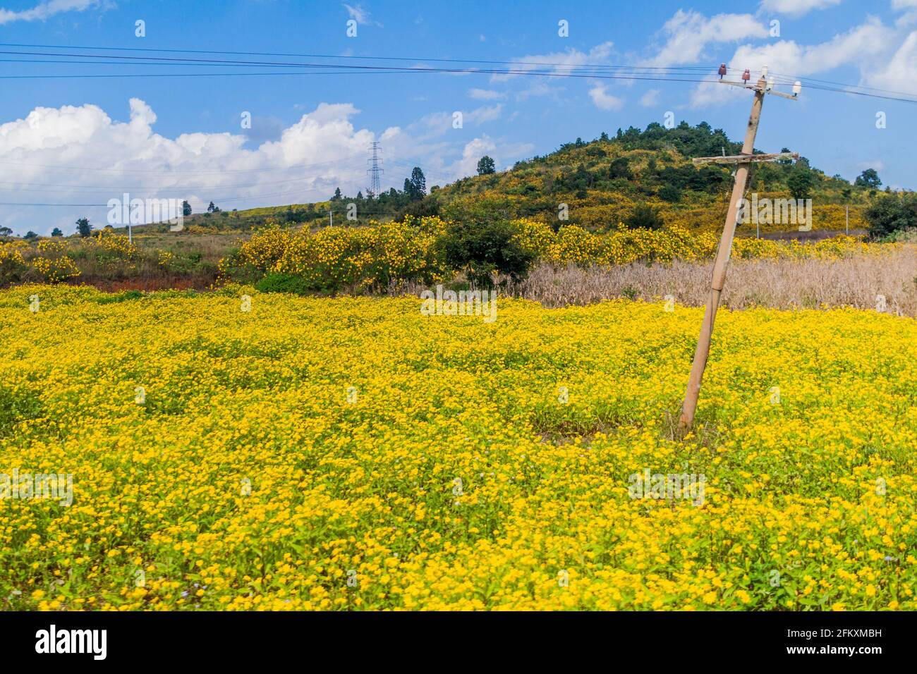 Rural landscape near Hsipaw, Myanmar Stock Photo