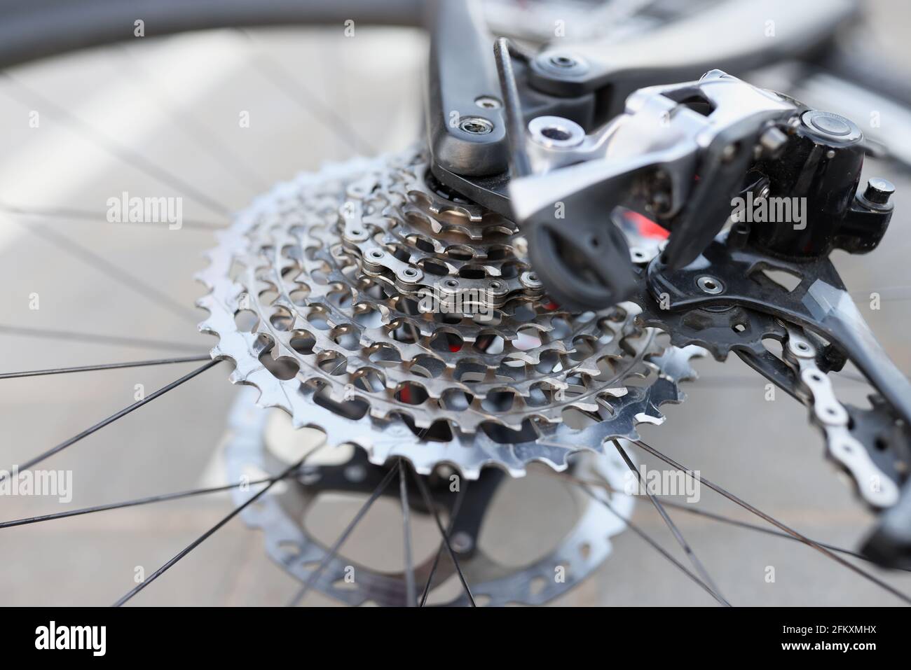 Rear bicycle cassette with wheel. Bicycle parts service Stock Photo Alamy