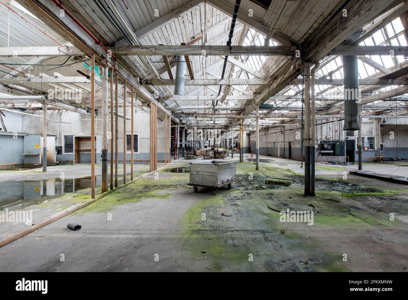 Industrial Decay