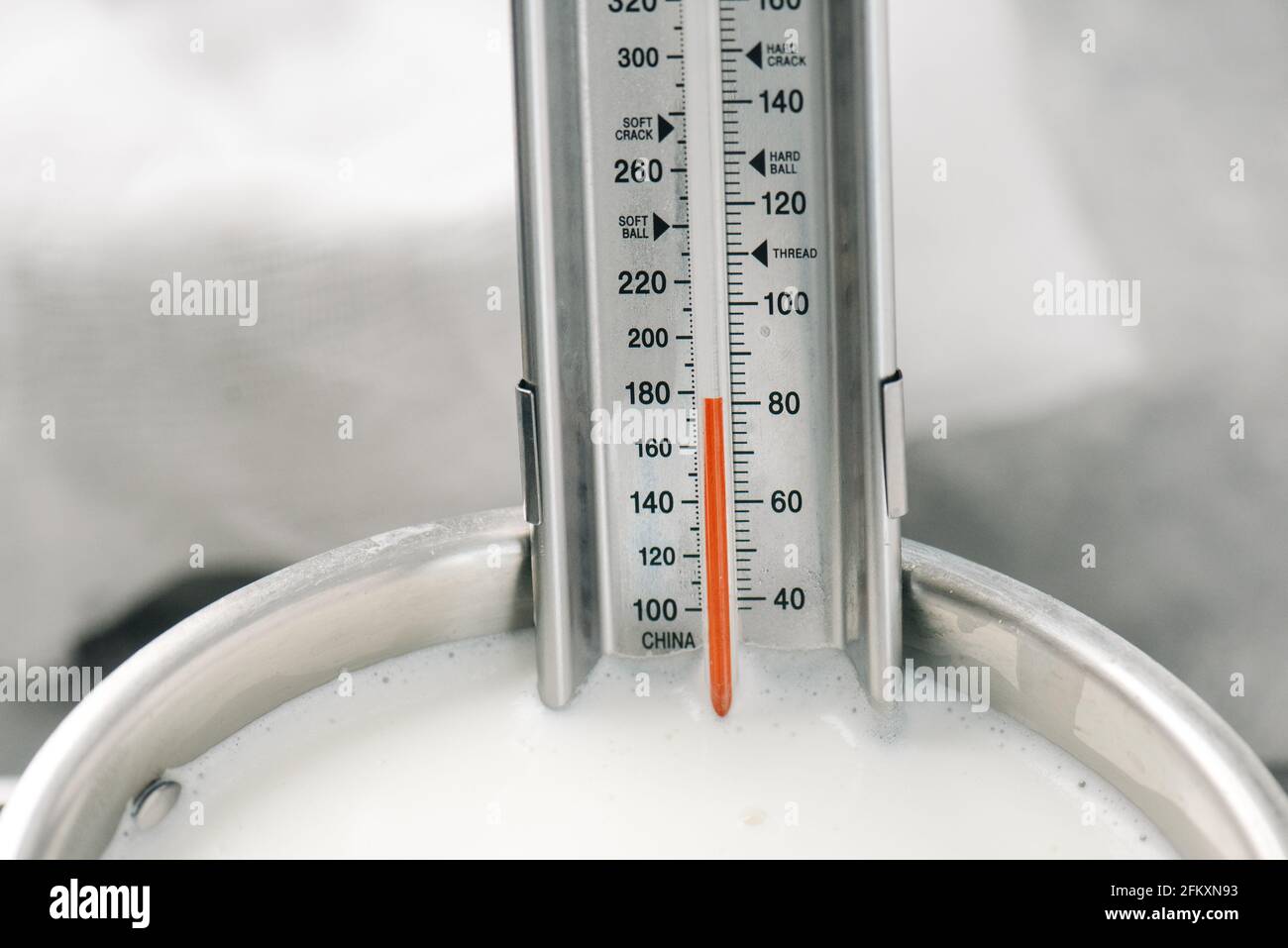 https://c8.alamy.com/comp/2FKXN93/food-thermometer-in-a-steel-pan-of-milk-2FKXN93.jpg