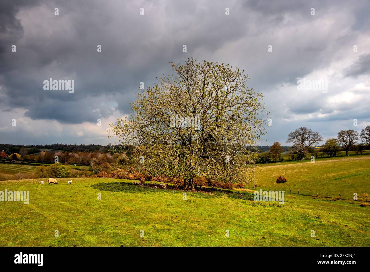 Bodiam, May 2nd 2021: The countryside near the village of Bodiam in East Sussex Stock Photo