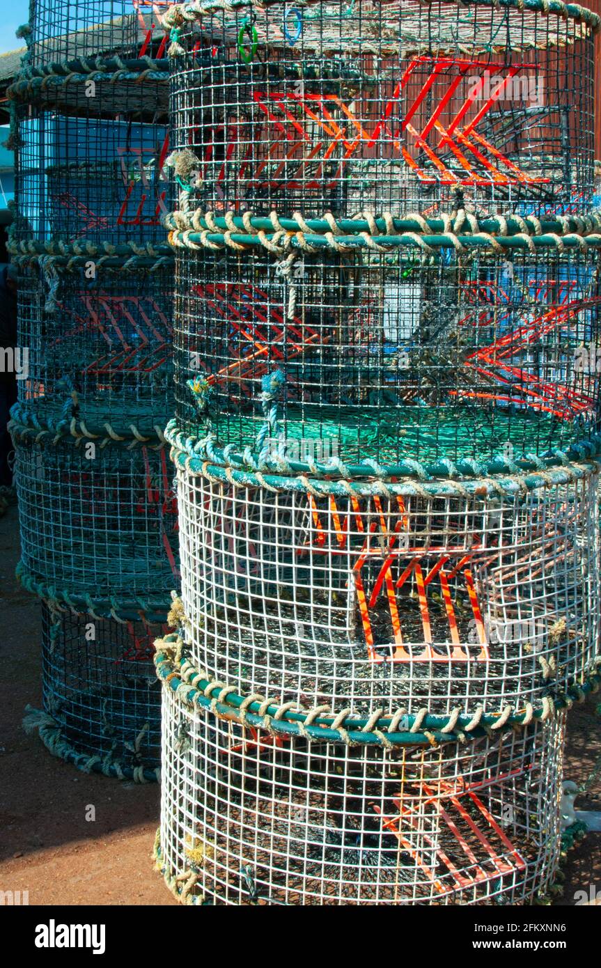 cuttlefish cages piled up Stock Photo