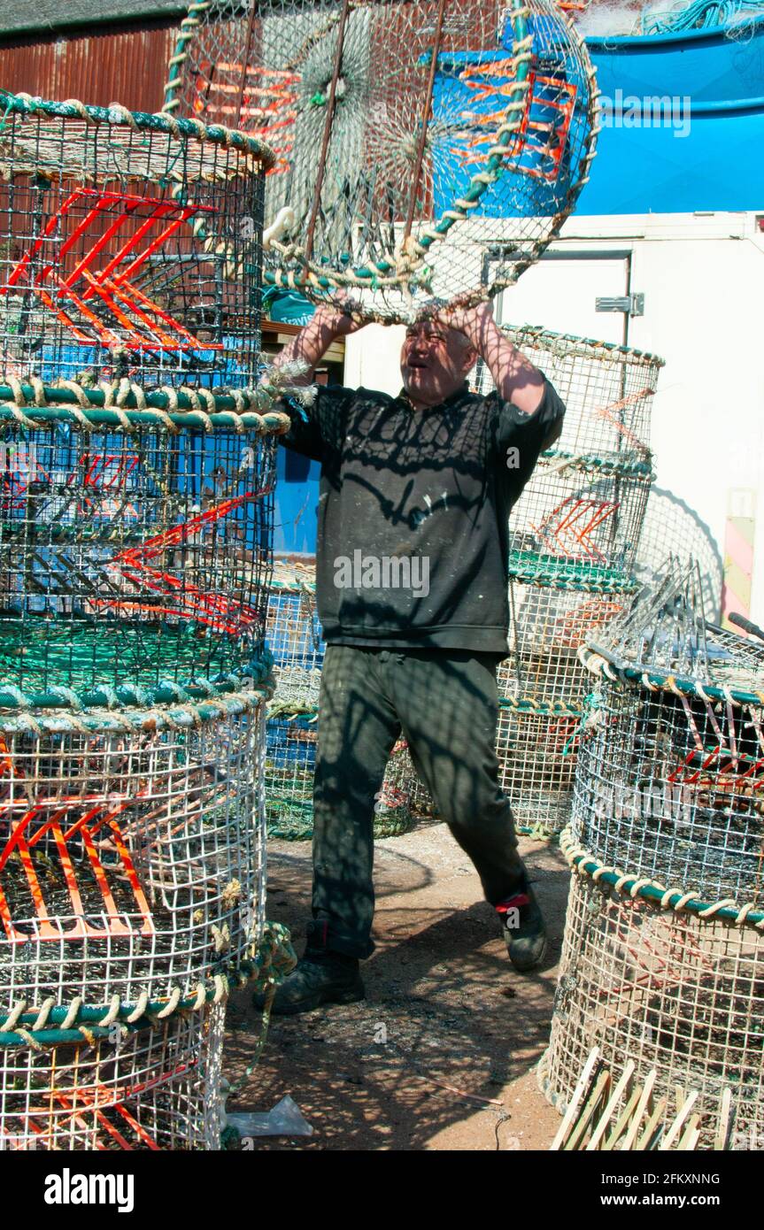 cuttle fisherman preparing cages Stock Photo