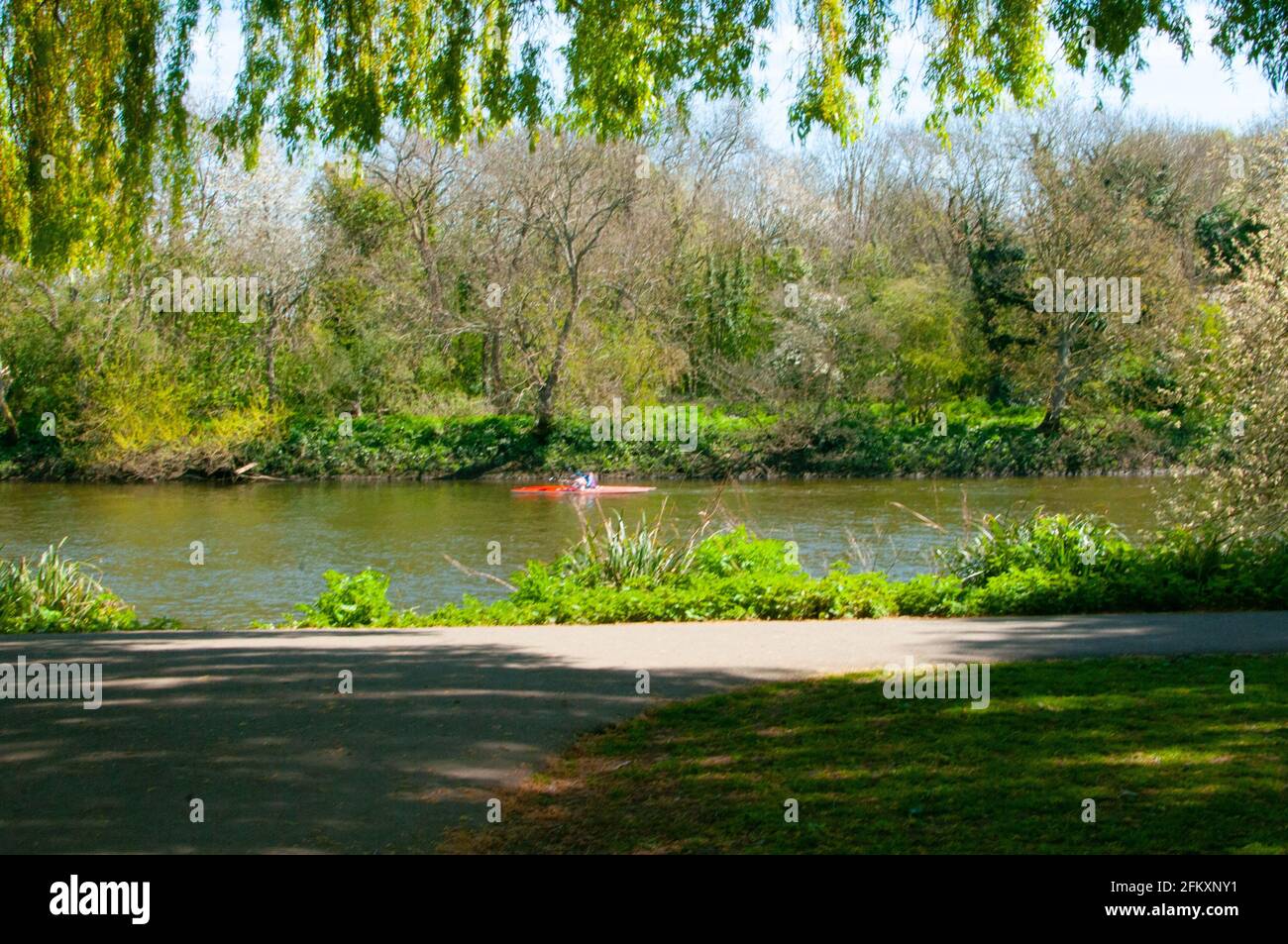 kayaking on river Thames Strawberry Hill Stock Photo