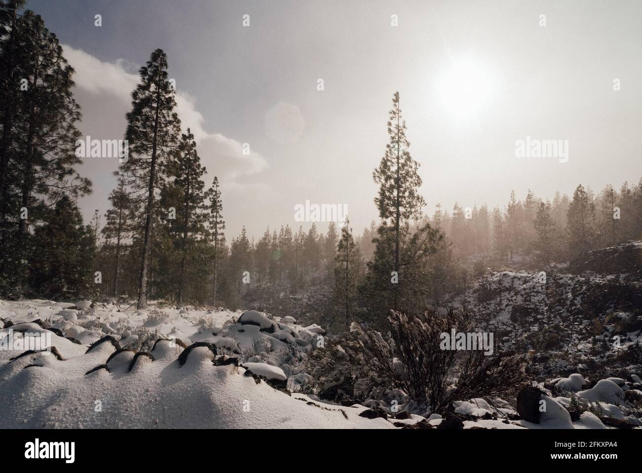 window view mountain forest snow Canary Islands storm Stock Photo