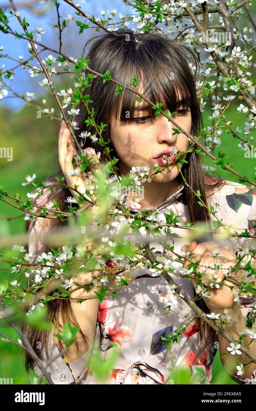 portrait of girl in cherry blossom Stock Photo - Alamy