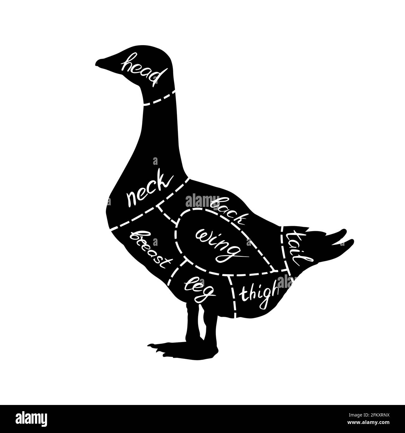Butcher shop diagram of goose meat parts. Black silhouette of goose. Stock Vector