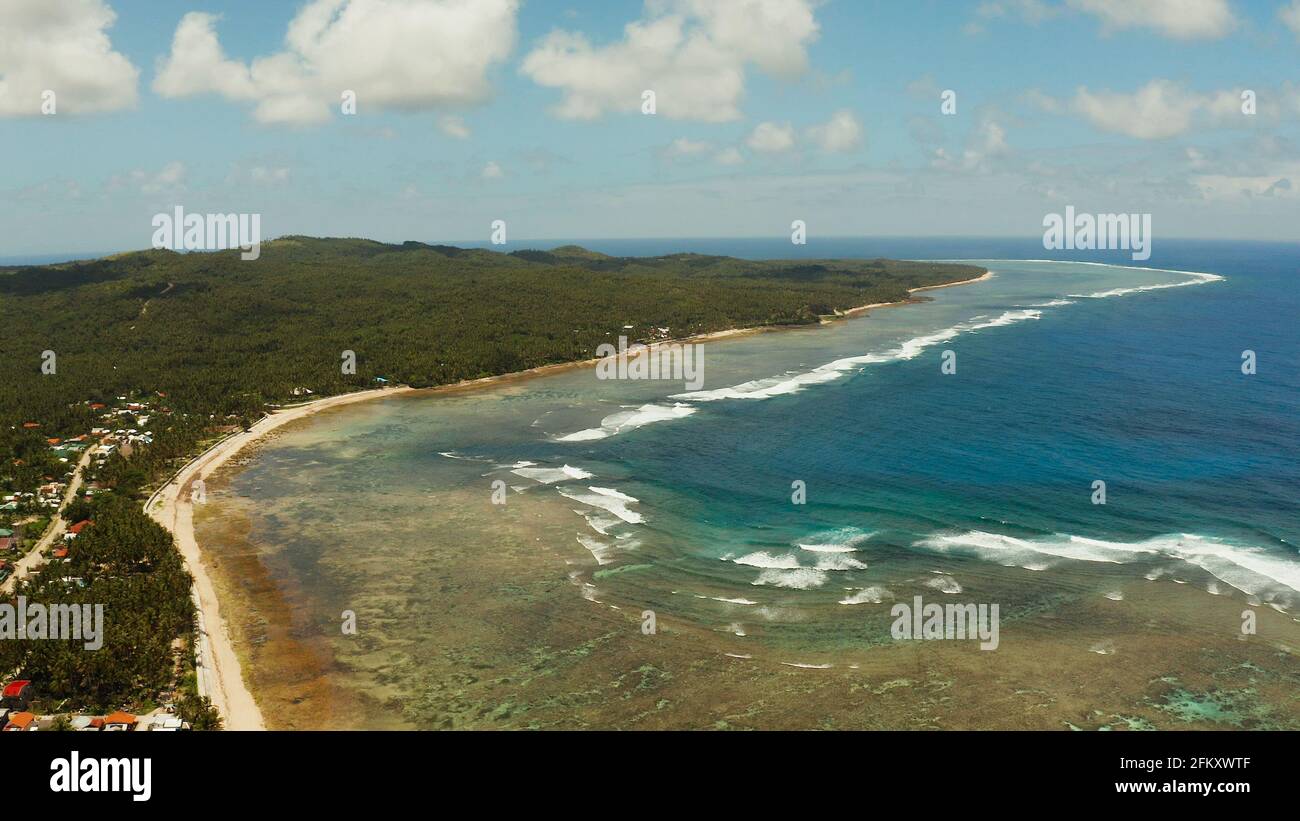 Coast of Siargao island, with palm trees and the ocean with waves and ...