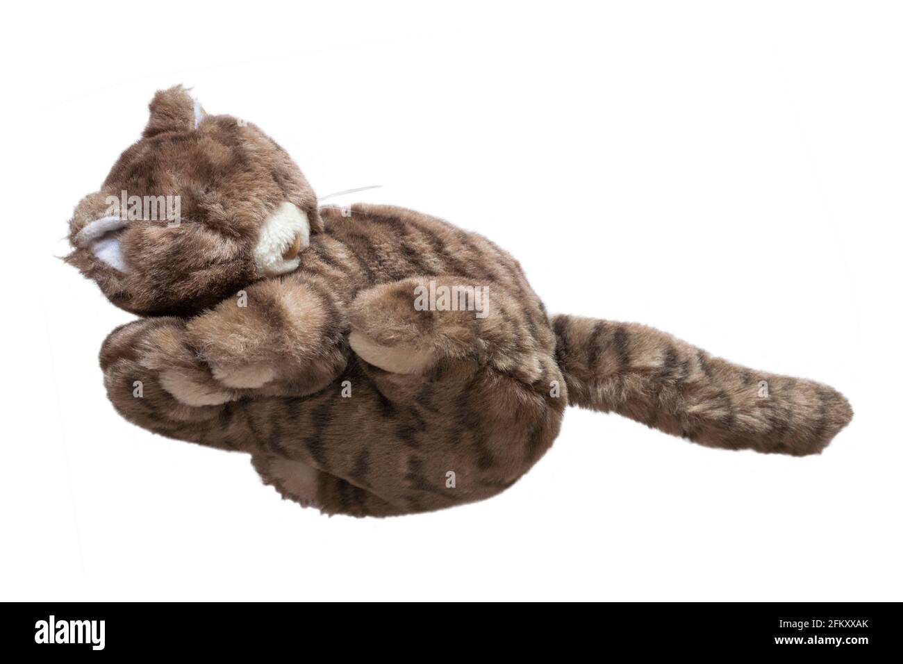 sleeping toy cat soft cuddly toy isolated on white background - stuffed animal Stock Photo