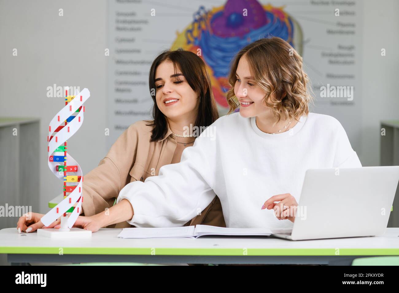 Two beautiful high school students, friends, teenagers sit at desk and study with laptop and DNA spiral model indoors Stock Photo