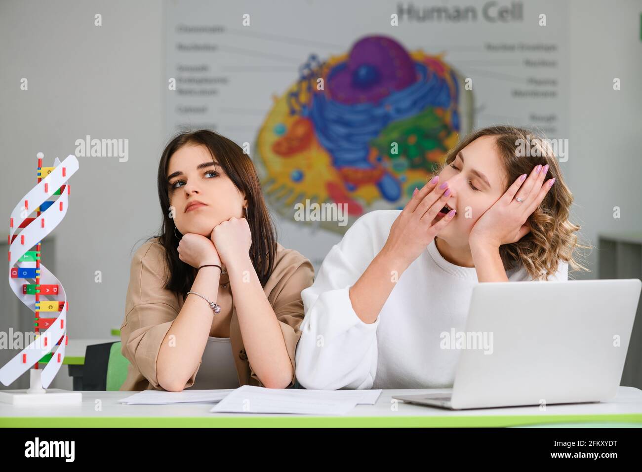 Two teenage girls students feel boring and tired at school lecture, yawning at modern class desk with laptop and DNA model Stock Photo