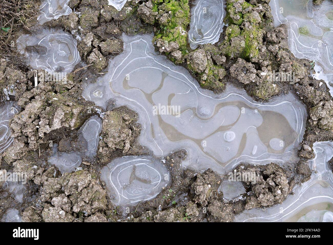 frozen small ponds background on muddy natural terrain Stock Photo