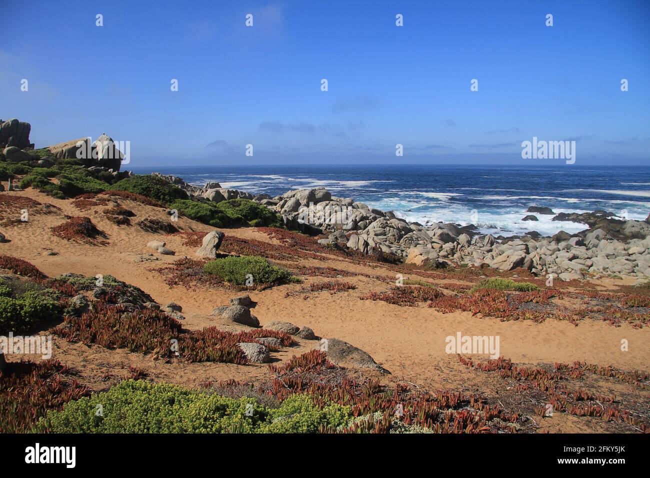 Blue sea waves in sunshine hi-res stock photography and images - Alamy