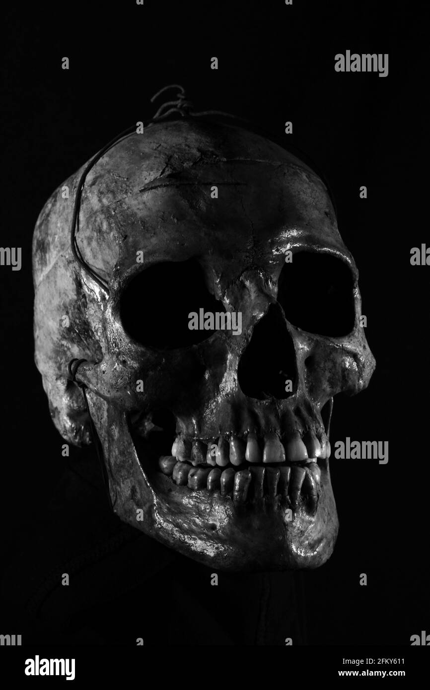 human skull on black background Stock Photo