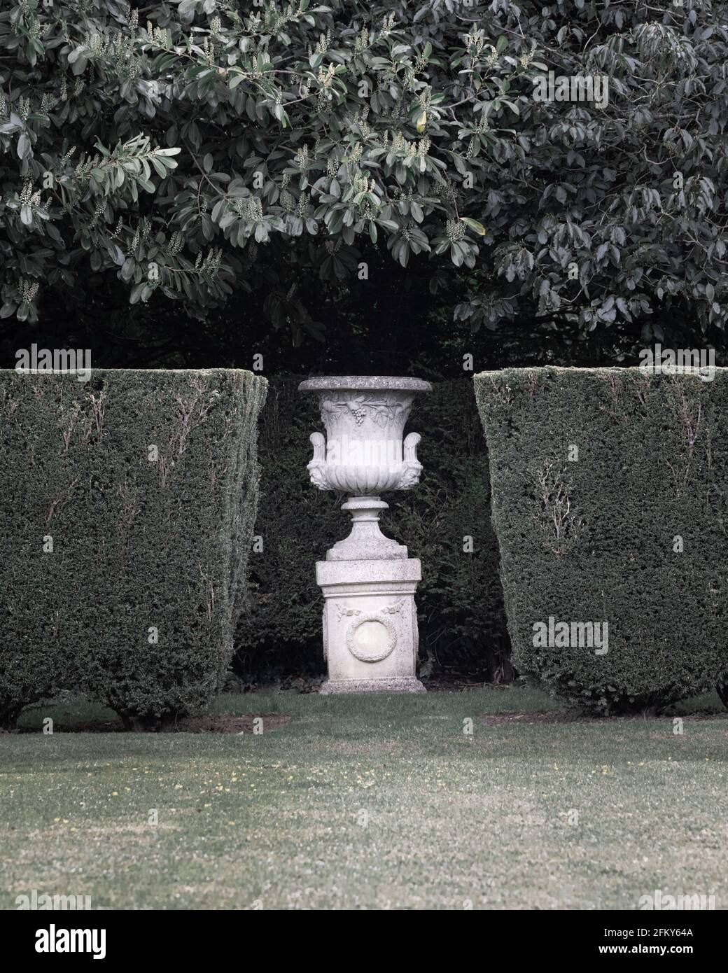 Holdenby, Northamptonshire, UK - April 24th 2021: An urn on a plinth between two trimmed yew hedges, under a laurel bush in Holdenby House gardens. Stock Photo