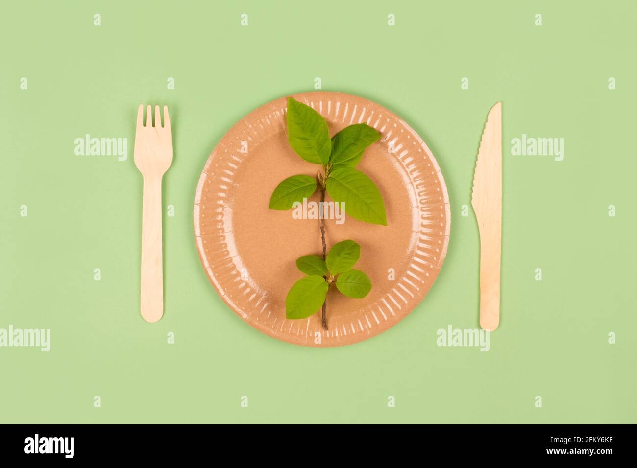 Flat lay composition with eco-friendly tableware - paper plate and ...