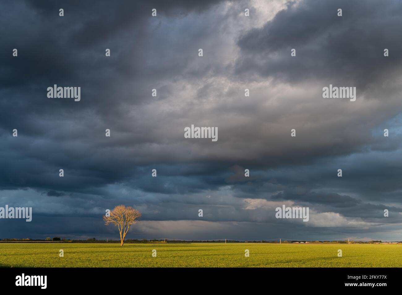 Willingham cambridgeshire fens hi-res stock photography and images - Alamy