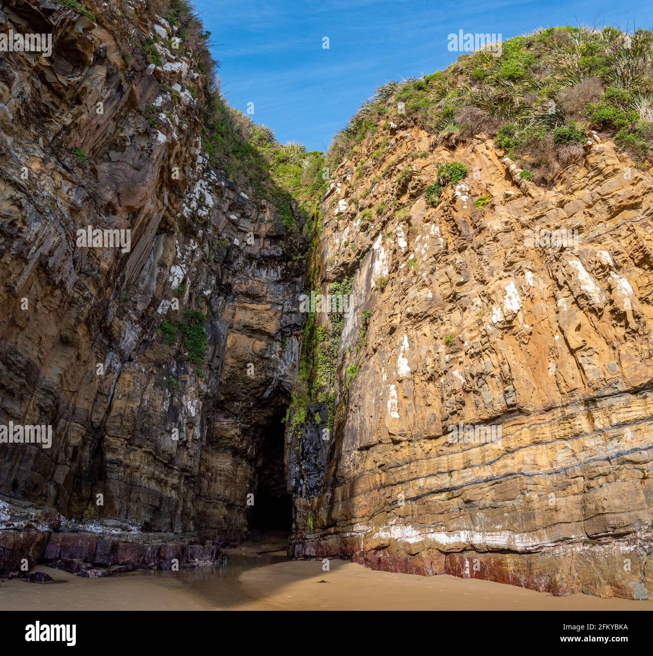 Famous cathedral caves at the coast of New Zealands South Island Stock ...