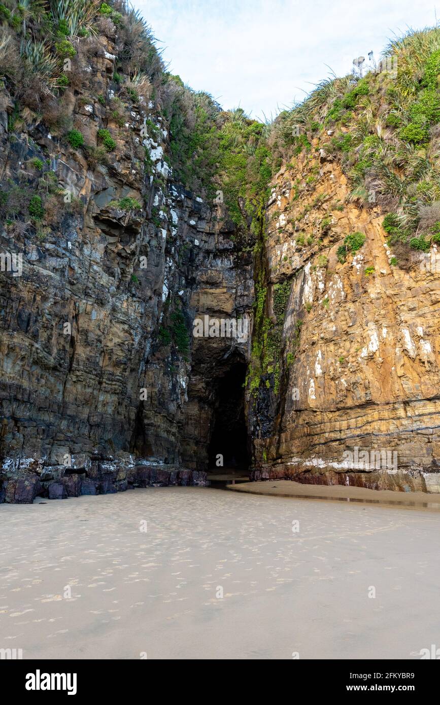 Famous cathedral caves at the coast of New Zealands South Island Stock ...