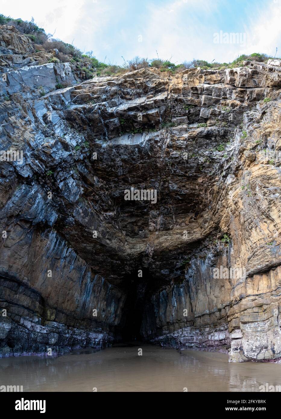 Famous cathedral caves at the coast of New Zealands South Island Stock ...