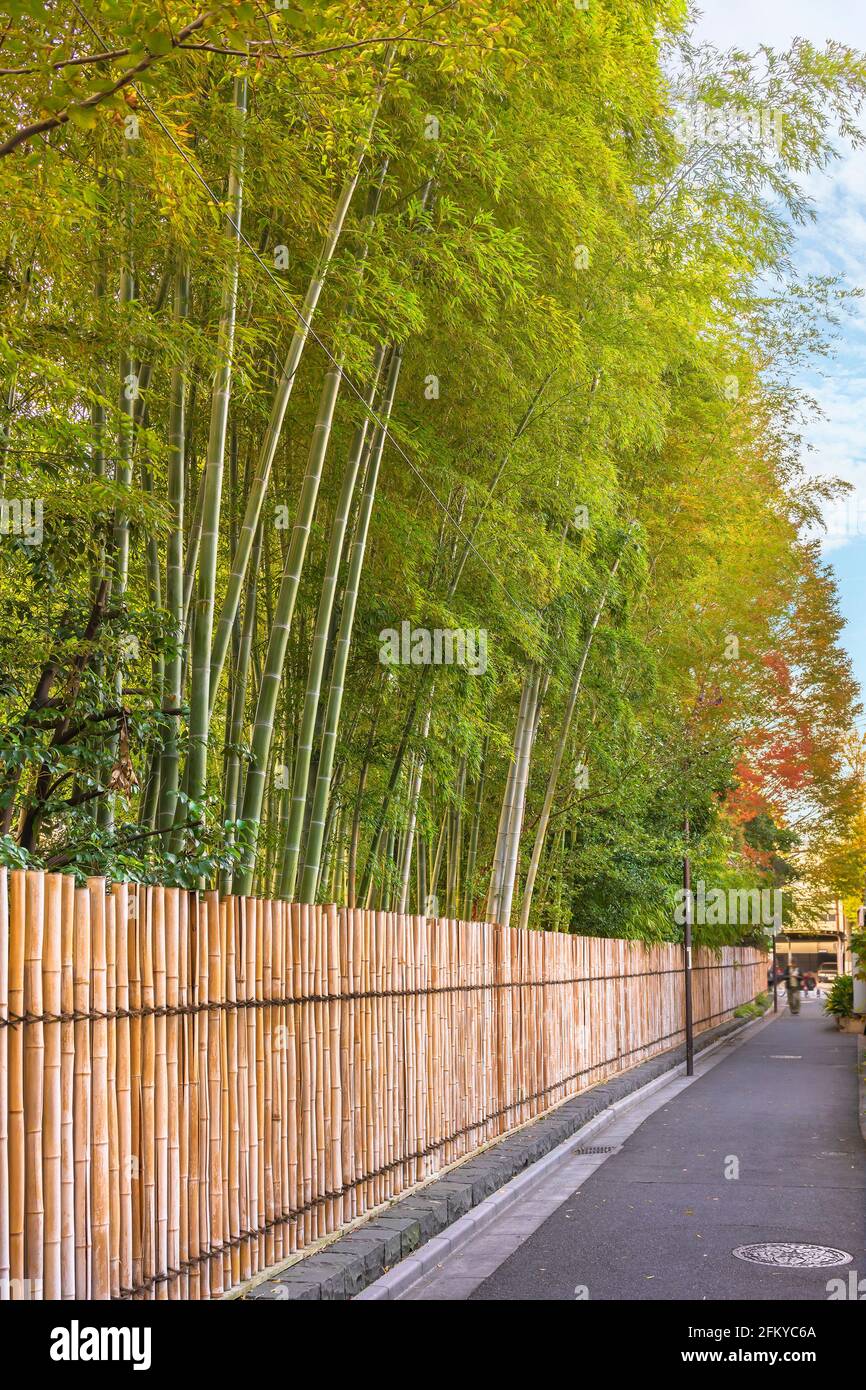 tokyo, japan - november 13 2020: Street lined by Japanese dried bamboo stalks fence around the Mukojima-Hyakkaen Gardens overlooked by a bamboo grove Stock Photo