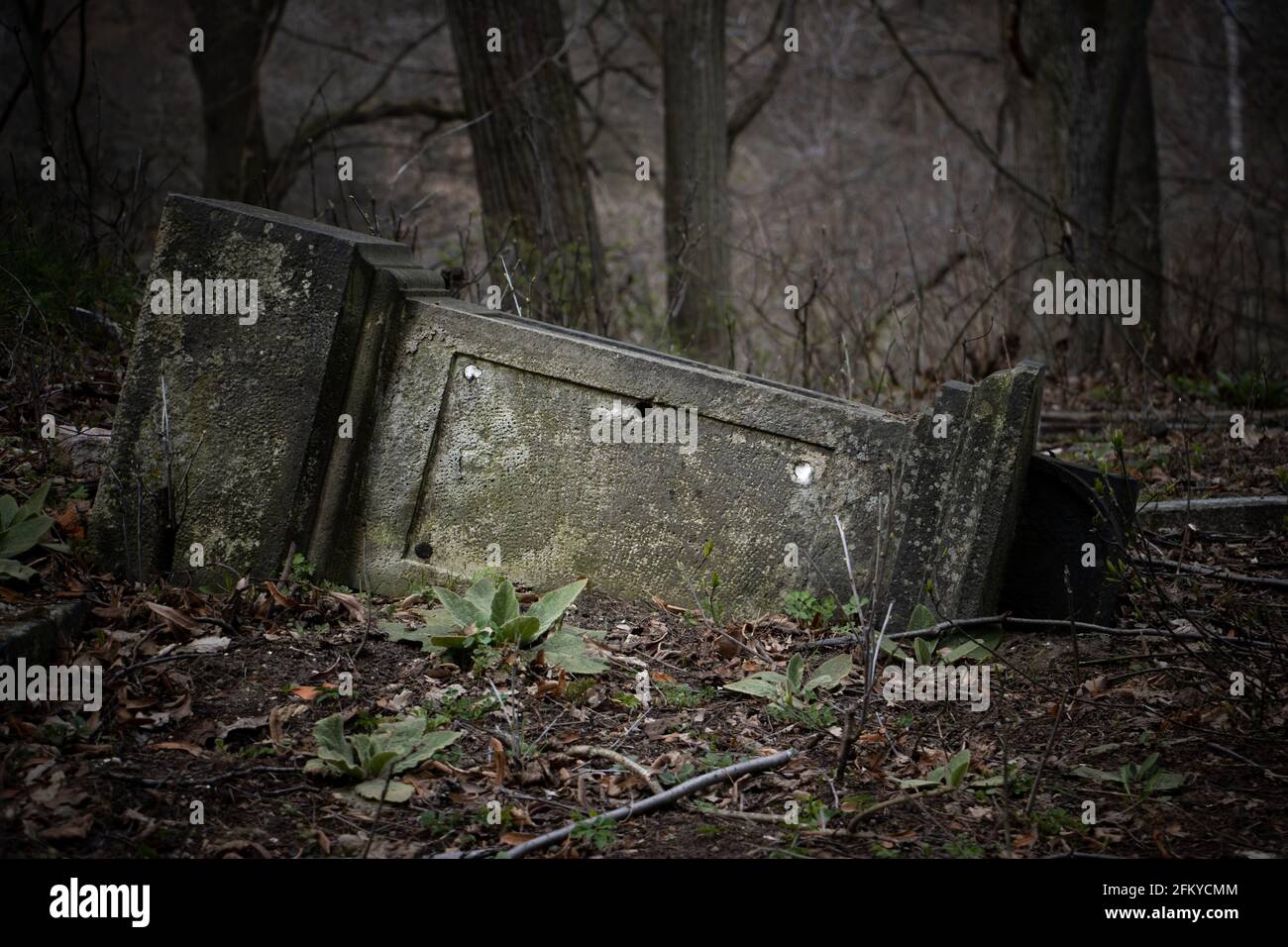 The fallen tombstone in an abandoned cemetery Stock Photo