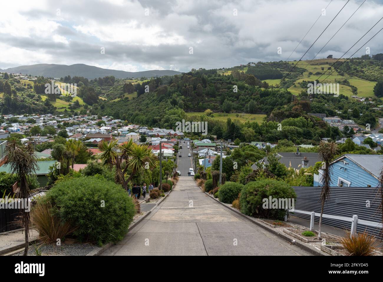 Famous Baldwin street in Dunedin, the steepest street in the world, South Island of New Zealand Stock Photo
