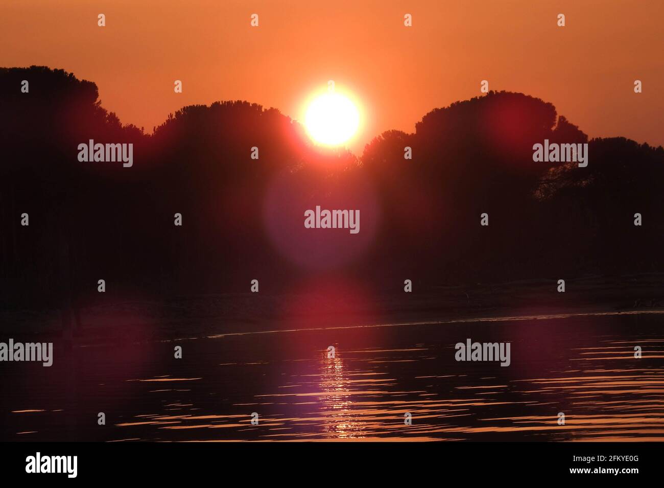 Sun during suggestive orange sunset and trees darken silhouette Stock Photo