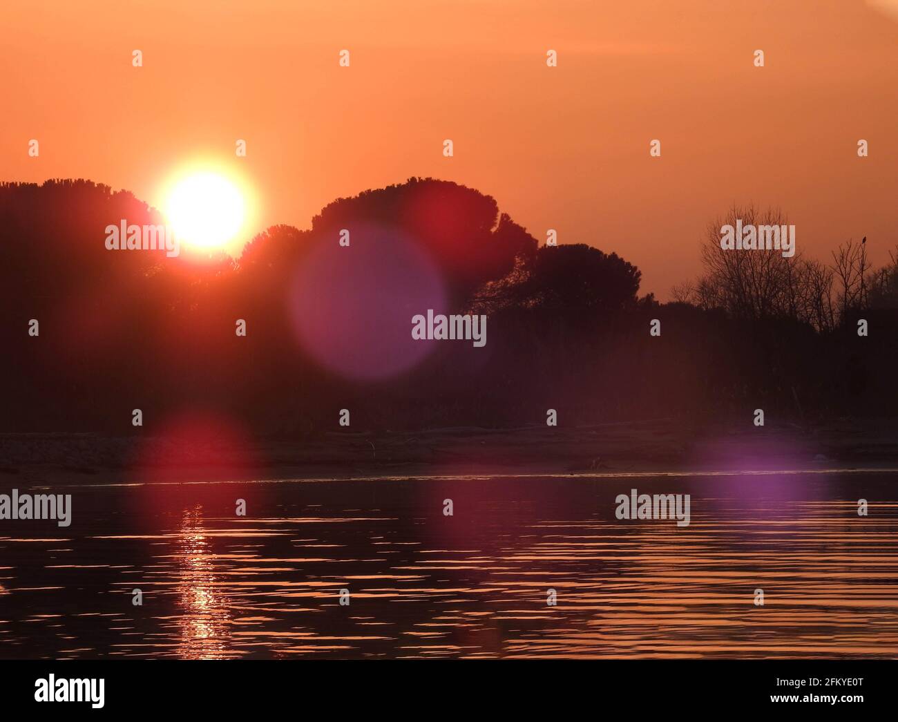 Sun during suggestive orange sunset and trees darken silhouette Stock Photo