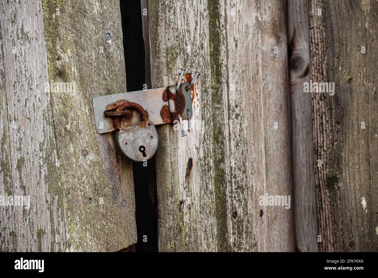 Old rusty padlock on a wooden door Stock Photo - Alamy