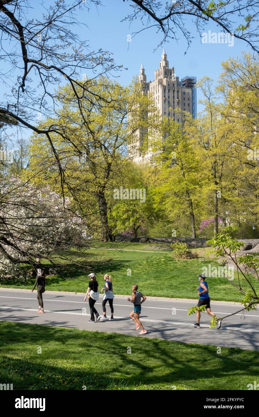 Springtime In New York Landscaping with plants hi-res stock photography and images - Alamy