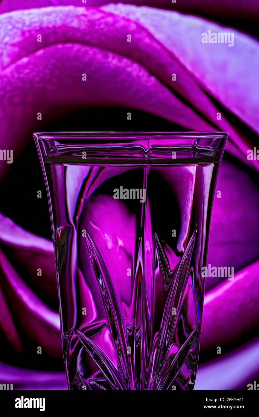 Refraction of a background closeup of a pink rose reflected in the etched crystal foreground glass Stock Photo