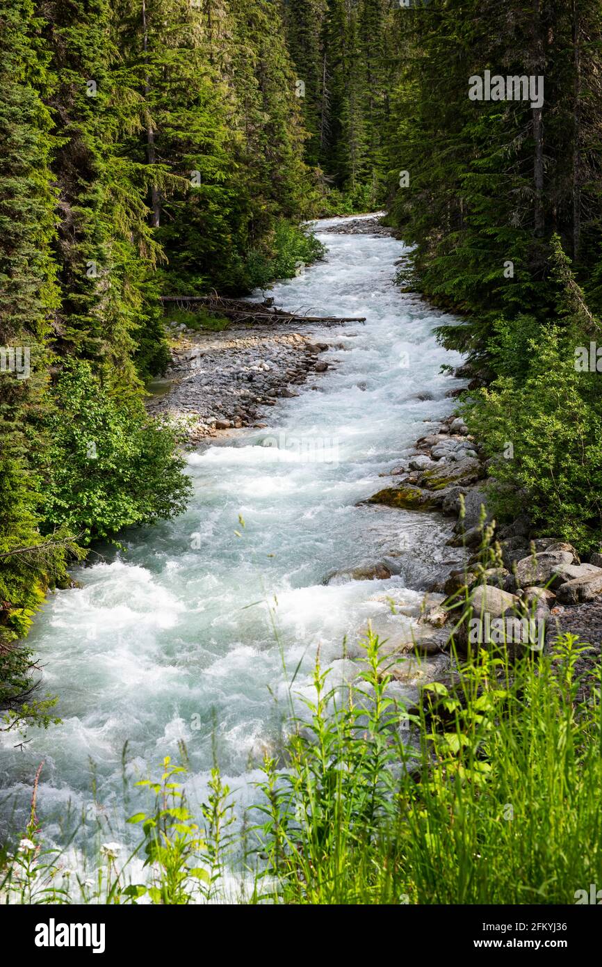 Beautiful fast running river along Great Glacier Trail in British Columbia Stock Photo