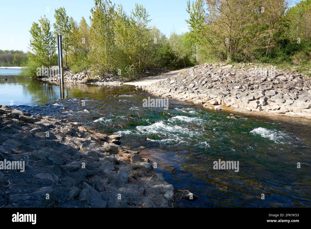 River with clean water in the forest Stock Photo Alamy